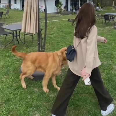 愉悦与苦痛